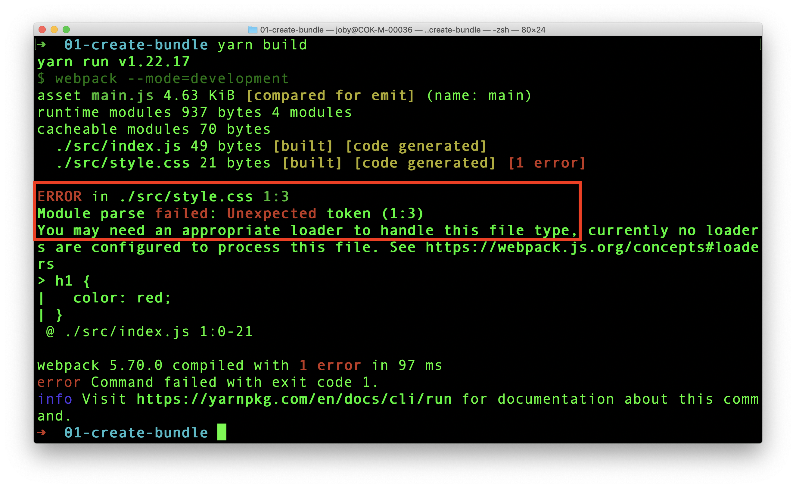 Webpack file type error
